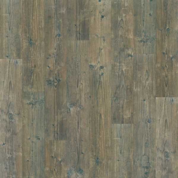 H20 Plus Ironside Pine Swatch