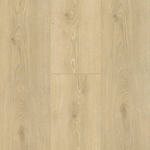 H20 Plus Blonde Oak Swatch