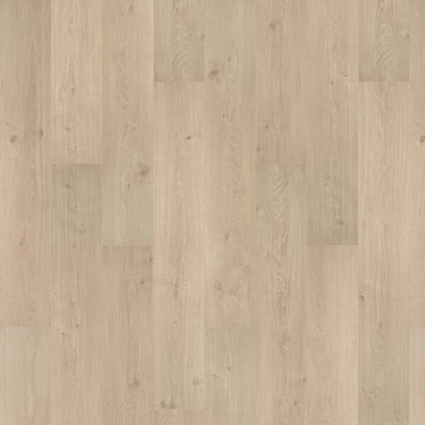 H20 Plus Creme Oak Swatch