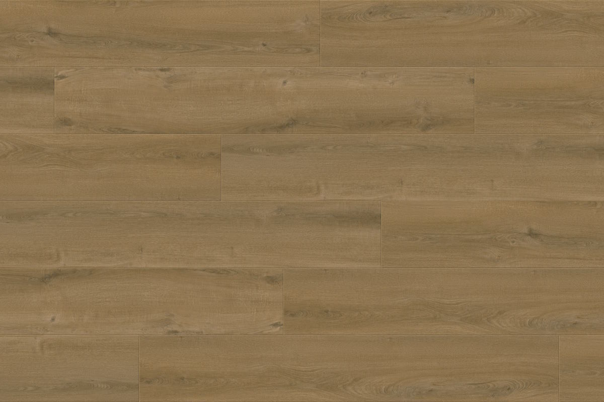 Woodlands Forest Swatch